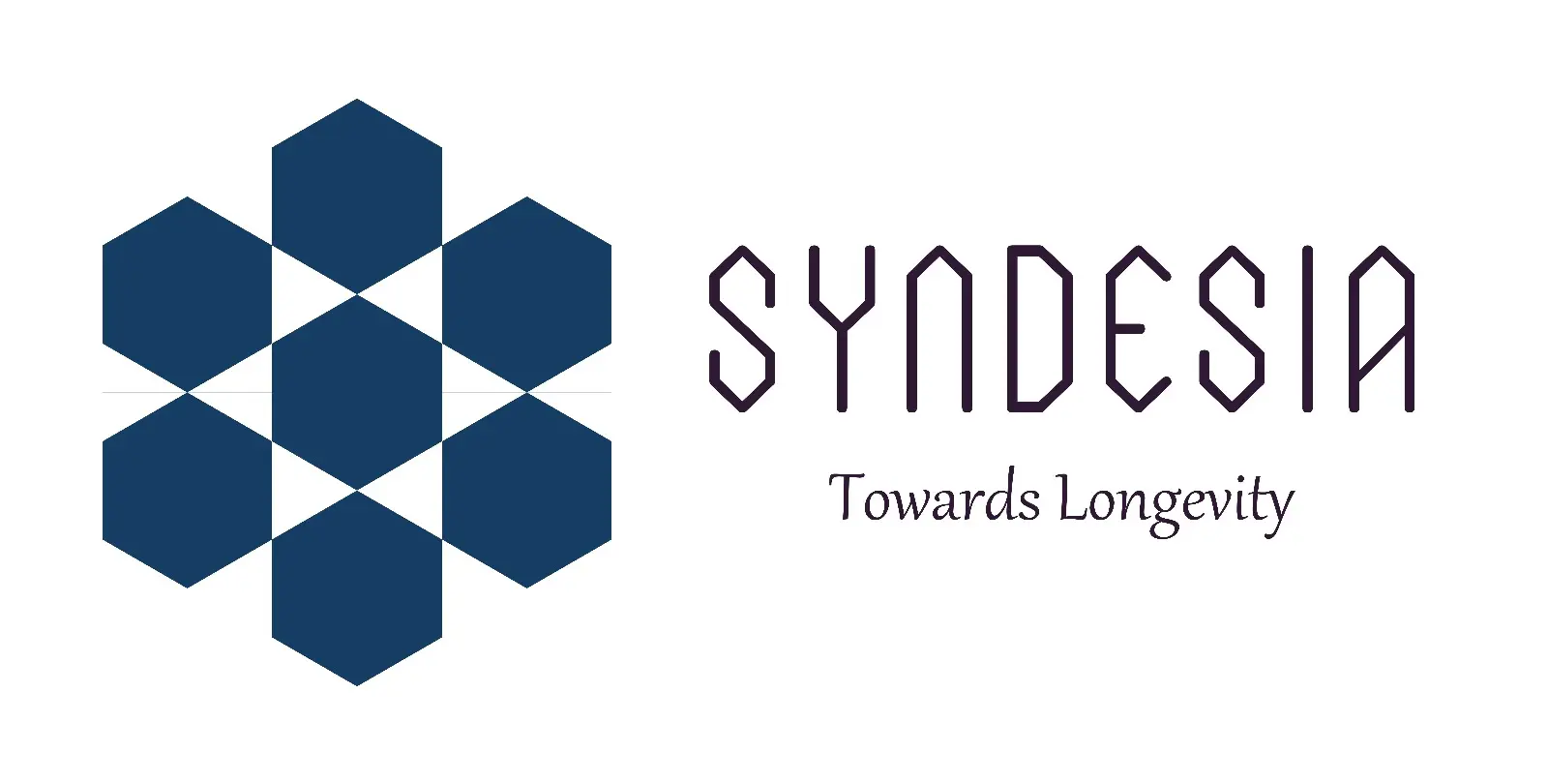 Syndesia